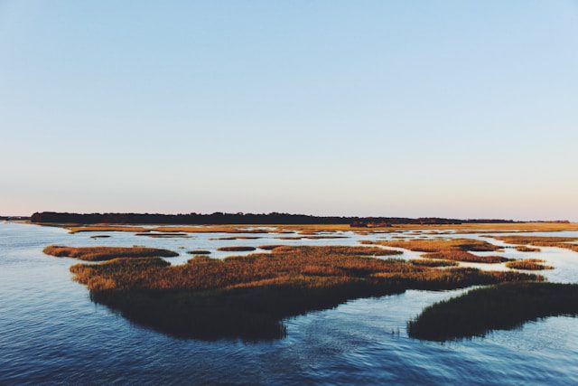SC-marsh