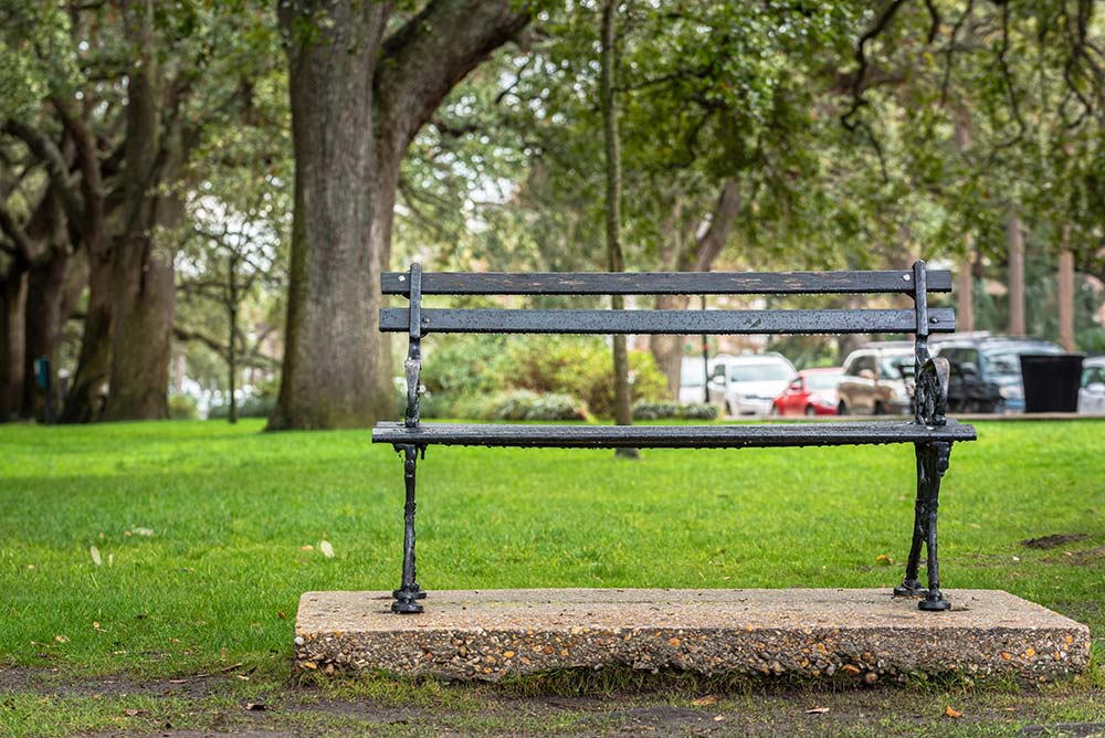 A park bench in South Carolina