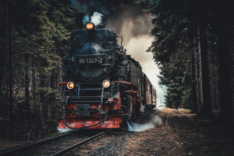 A red and black train moving along railroad tracks